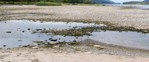 Rhine River Closed to Barge Services Amid Record Drought