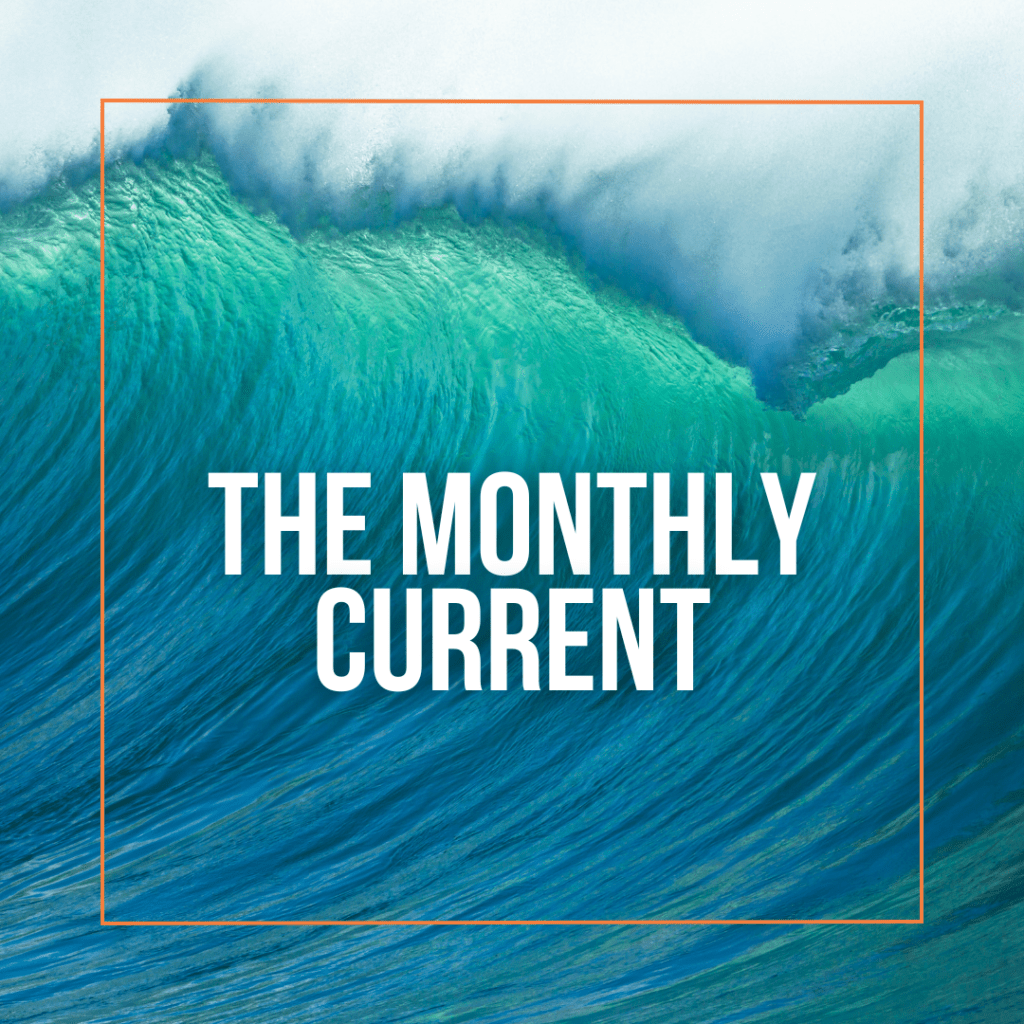 Current Cover Image